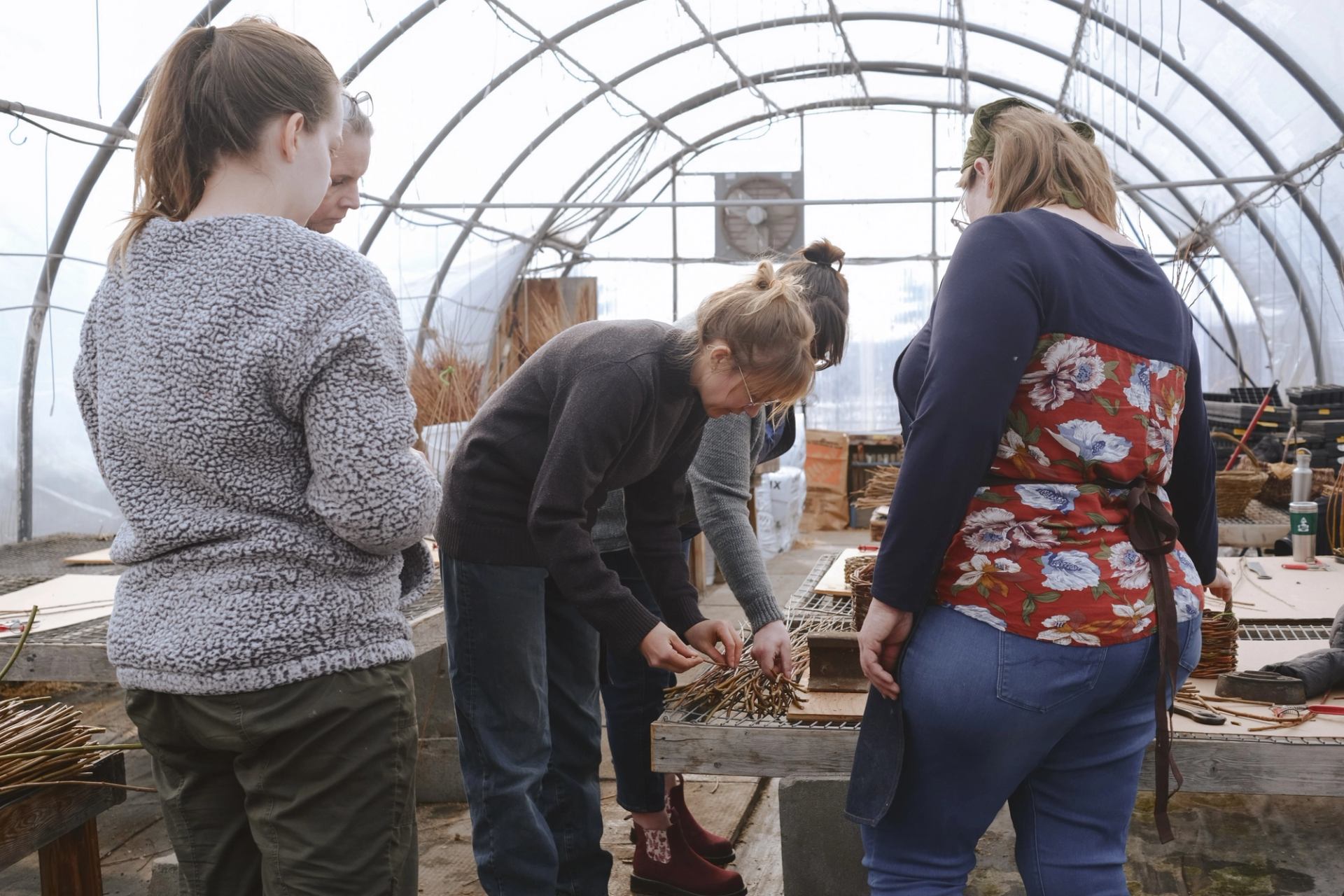 A group of women sorting willows.