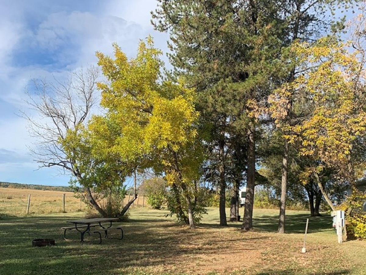 Picnic table under autumn trees at Lamont RV Park and Campground.