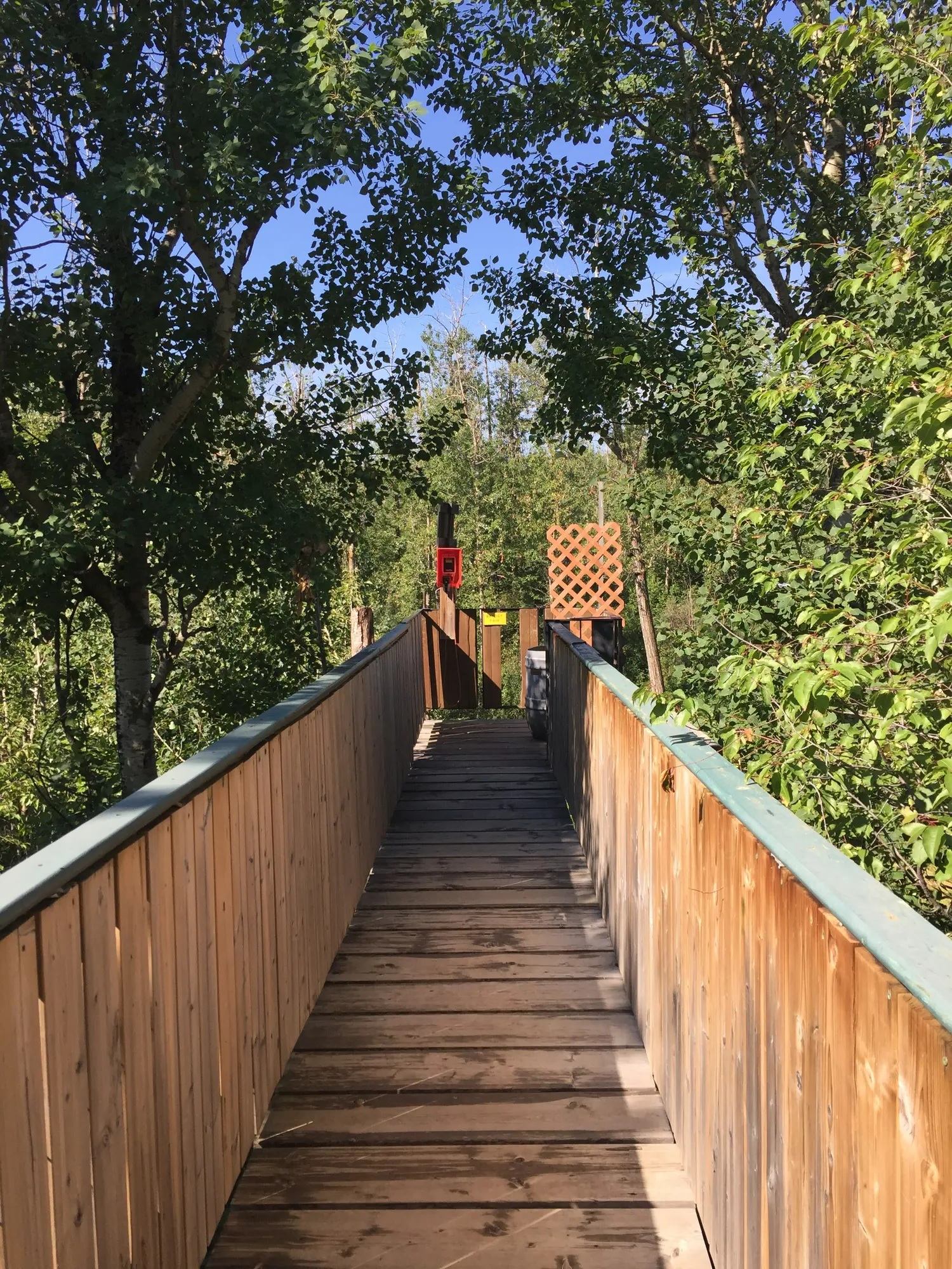 Wooden boardwalk with railings leading through dense green trees under clear blue sky.