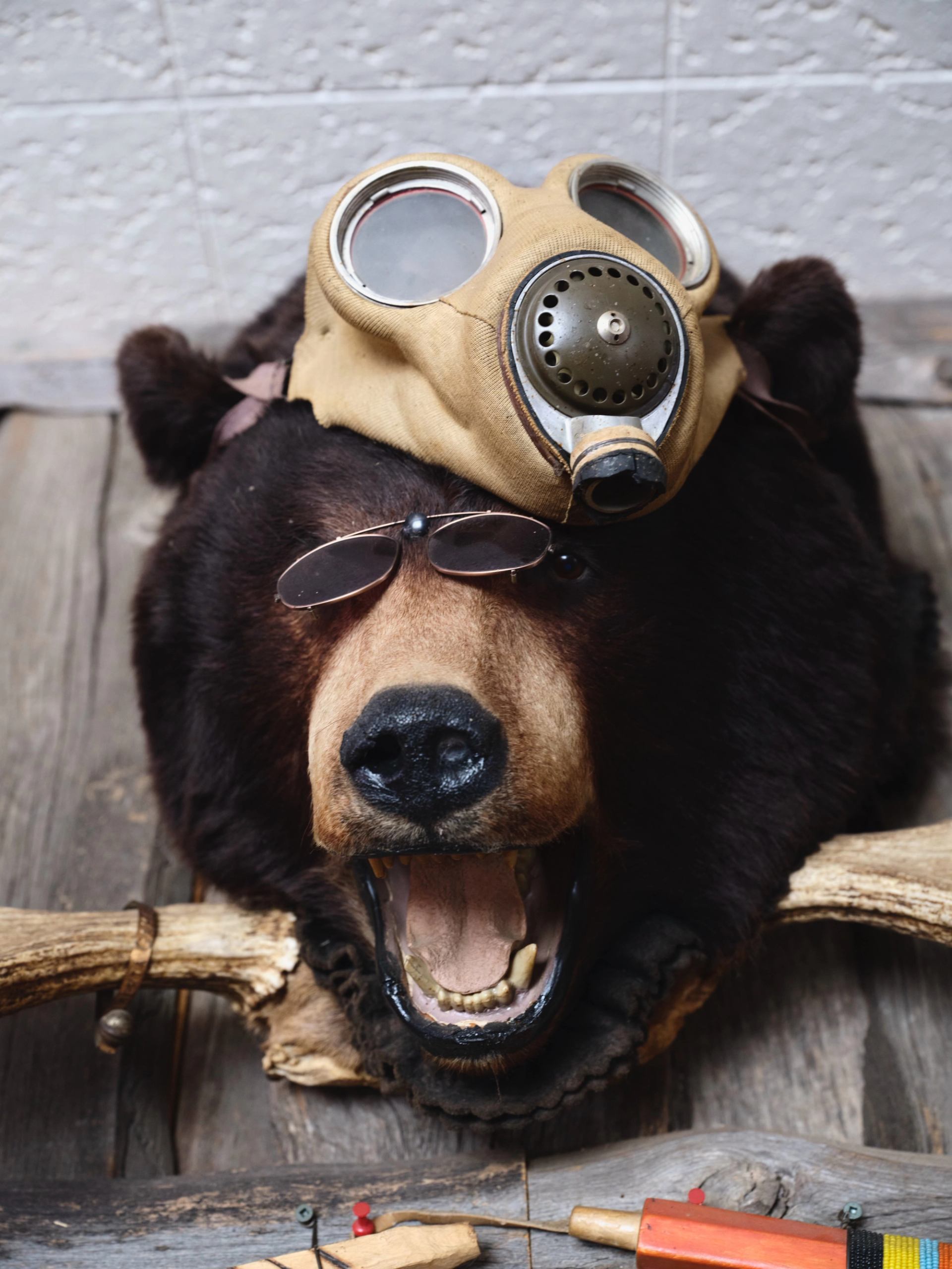 A mounted bear display wears vintage goggles and a gas mask inside a rustic setting.