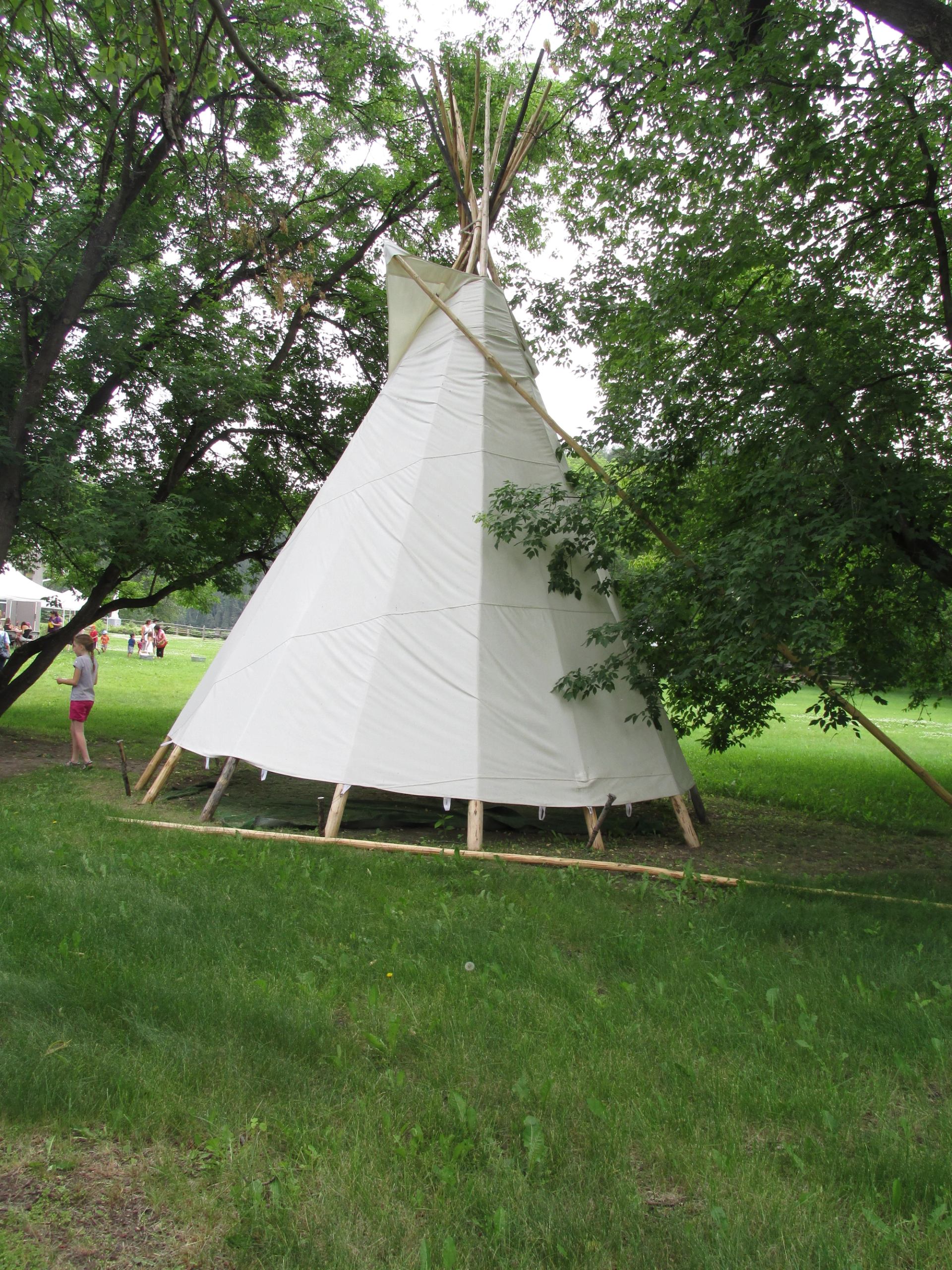 White tipi standing among tall trees in a grassy park setting.