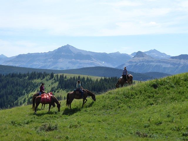 People out on a trail ride in the central prairies of Alberta.