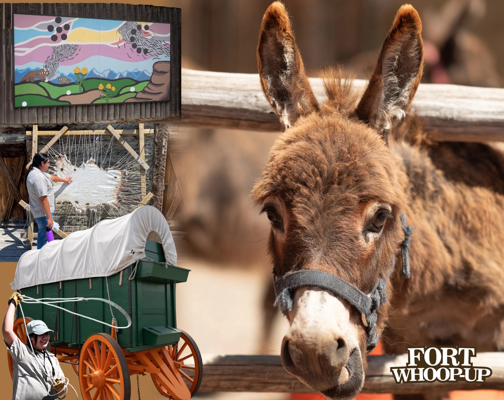 An image montage of several experiences at Fort Whoop Up