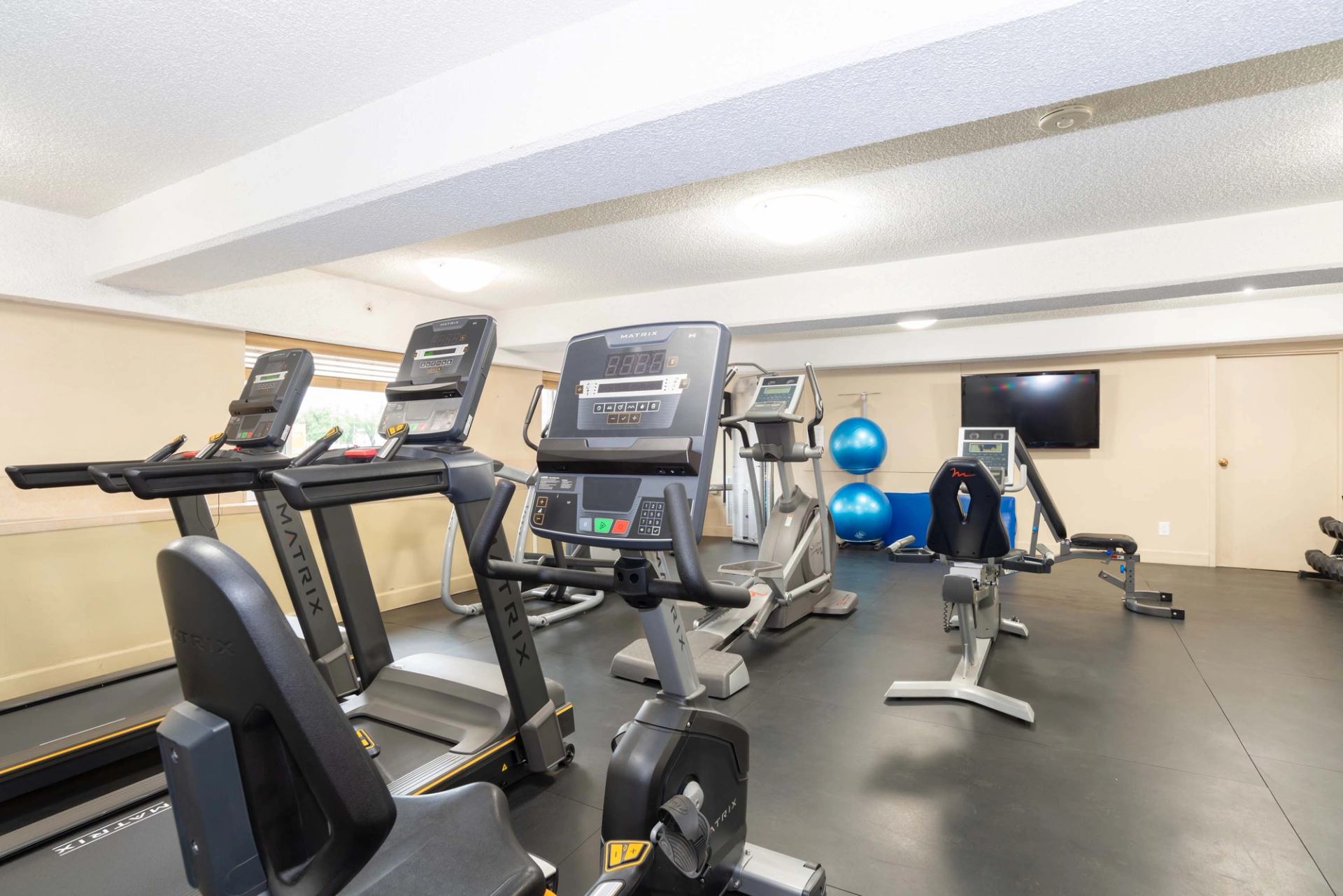 Fitness room with treadmills, exercise bikes, weight bench, blue stability balls and TV.