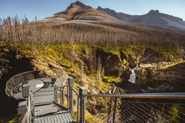 Blakiston Falls trail.