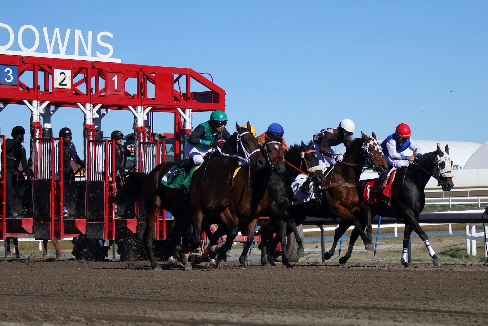 Horses launch from red gates at Century Downs, race just beginning.