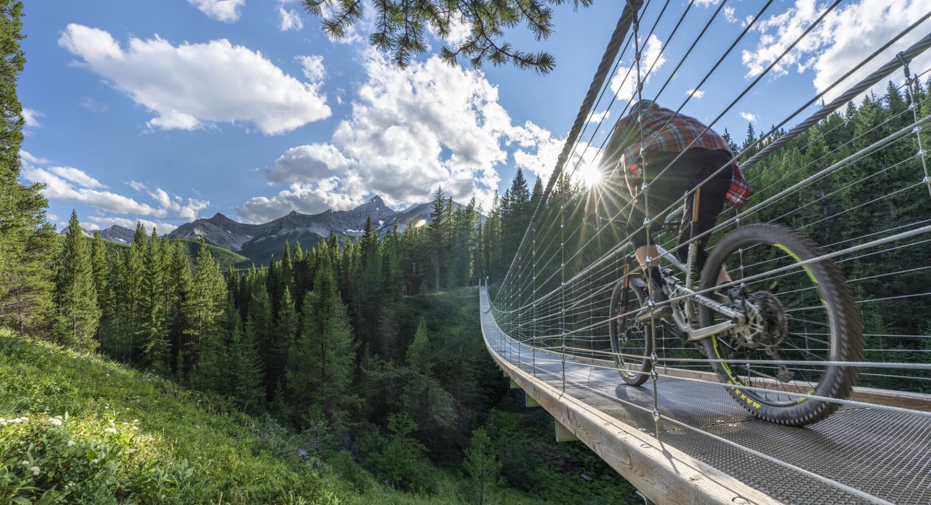 a person cycling across the Blackshale Suspension Bridge with a lush green forest below and mountains in the background
