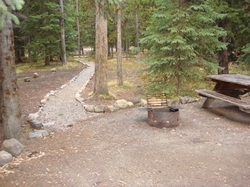Forest campsite with fire pit, picnic table, and gravel path.