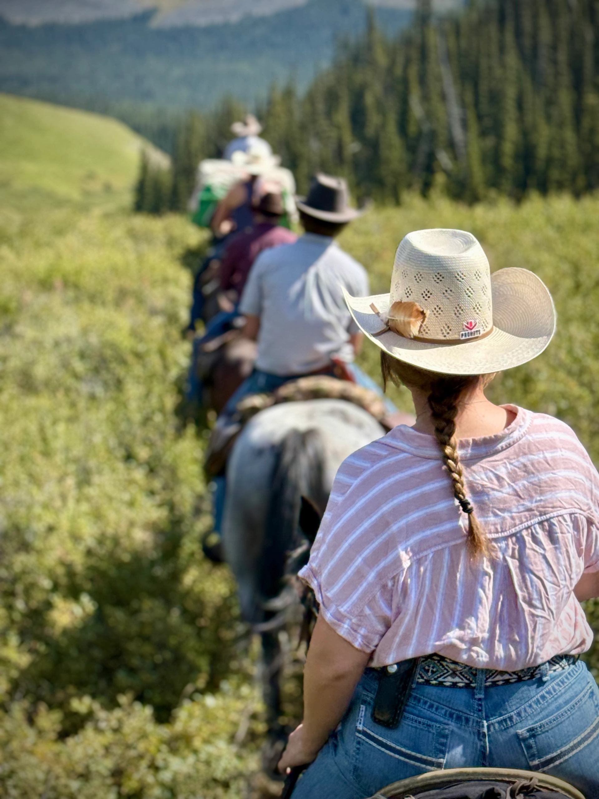 A line of horseback riders moving through dense shrubs toward mountain slopes.