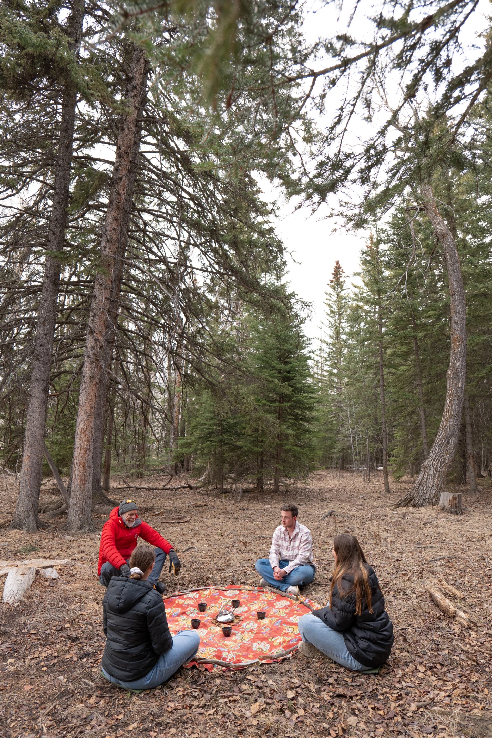 Three people sit on a blanket in a pine forest clearing, relaxed and deep in conversation.