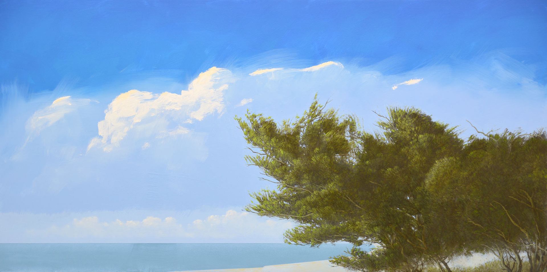 A coastal scene with a windswept tree, calm horizon, and expansive blue sky.