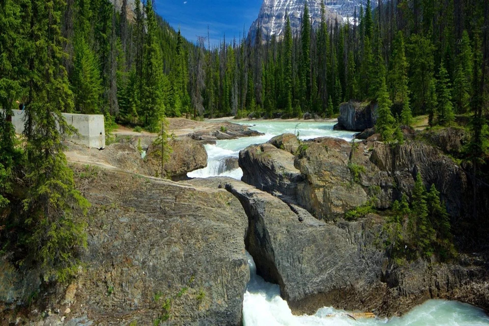 Turquoise river rushes through rocky channels amid evergreens beneath a snow-capped mountain.