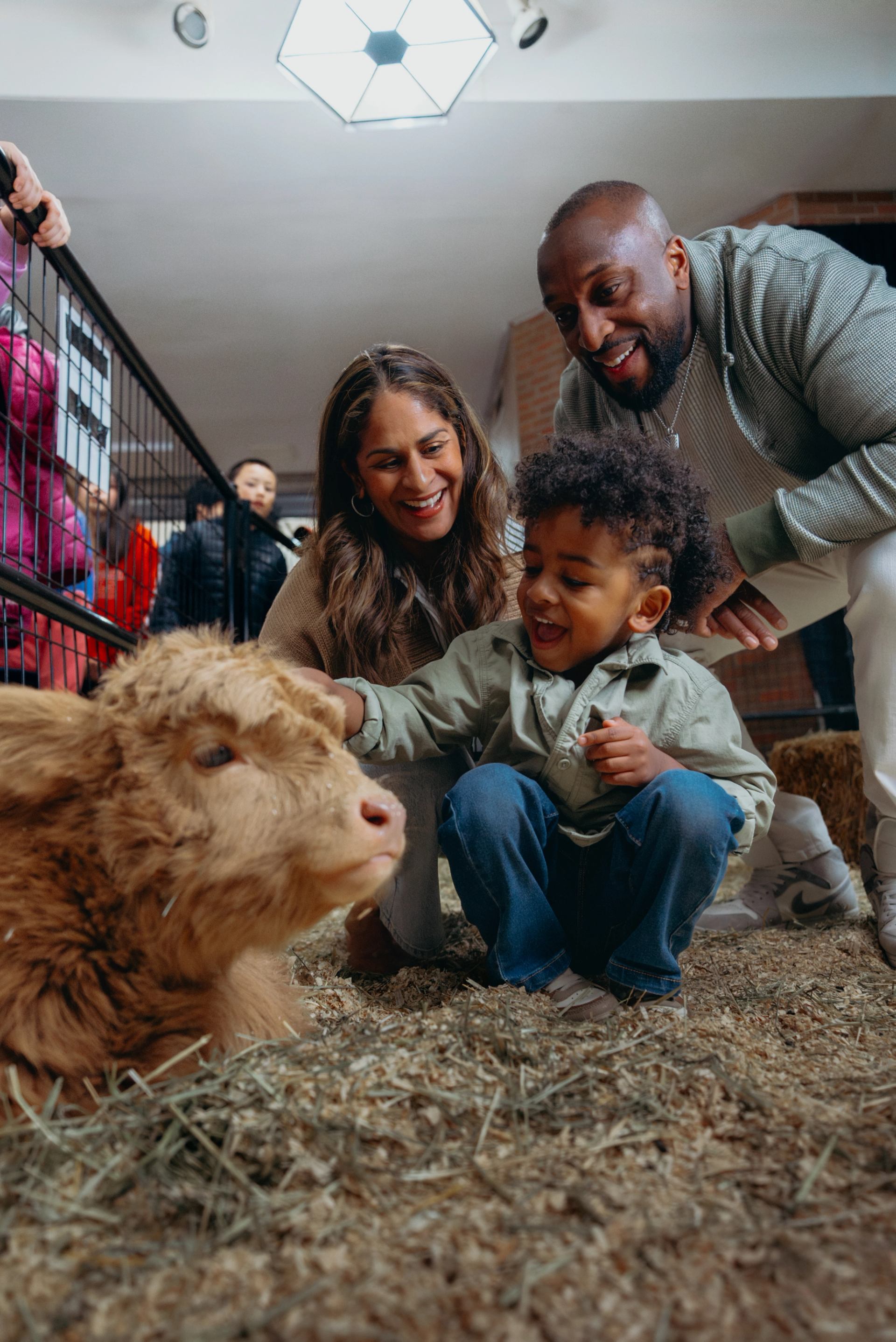 A child and adults gently pet a fluffy calf in an indoor animal area.