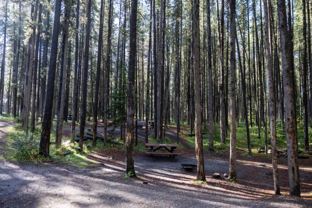 Sites at Two Jack Main Campground.