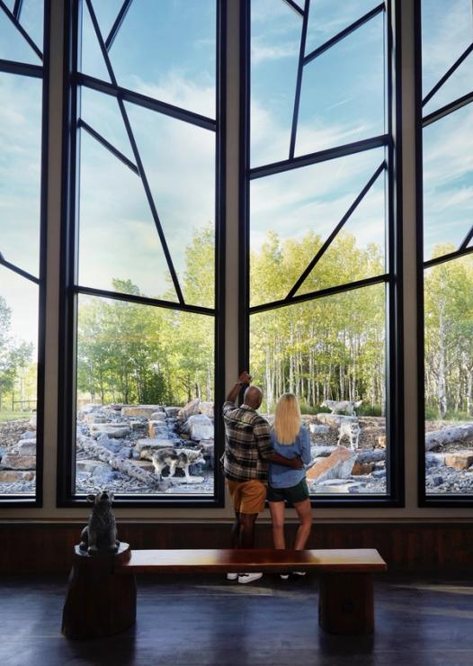 Couple watching wolves from the indoor observation area at the Yamnuska Wolfdog Sanctuary.