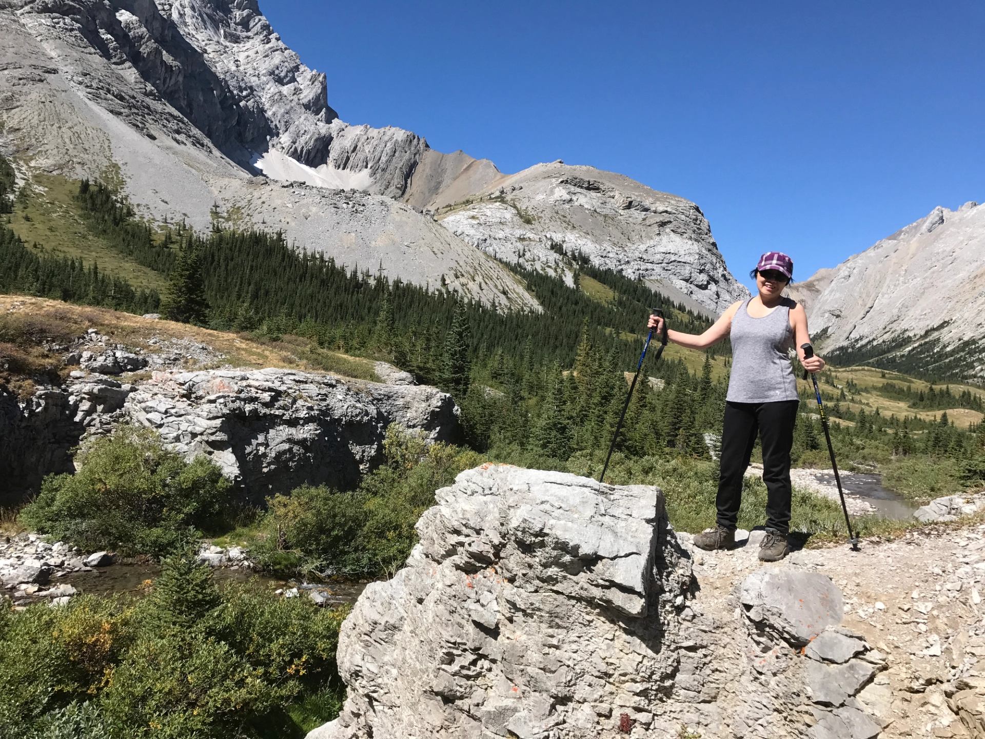 Hiker with trekking poles stands on rocky trail overlooking forested mountain valley.