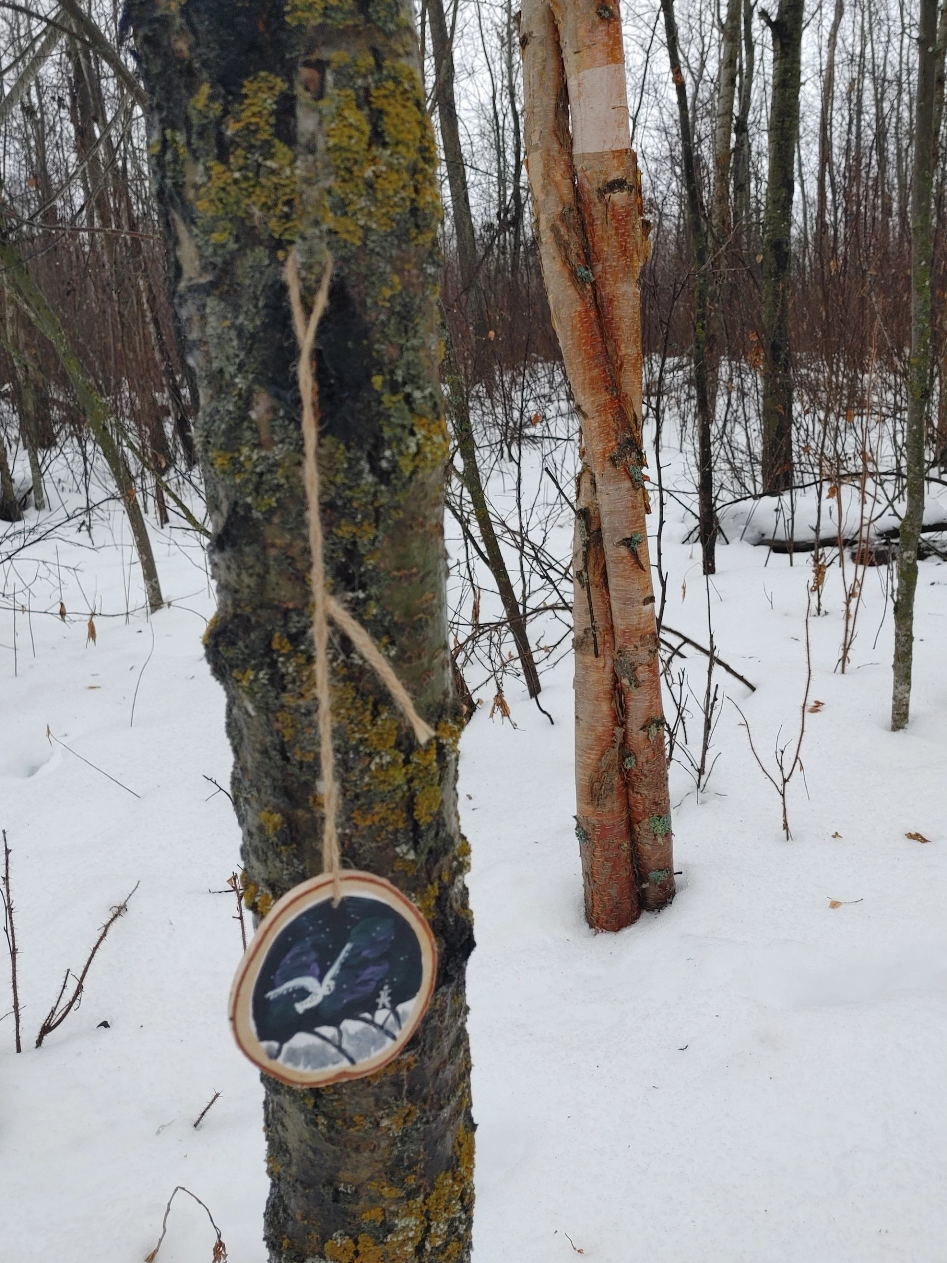 Painted artwork displayed on a tree.