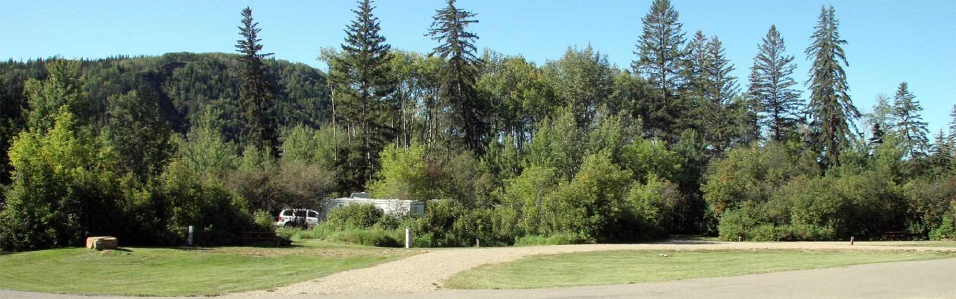 Grassy campground with gravel lane, pine trees, and parked vehicles near a forested hillside.