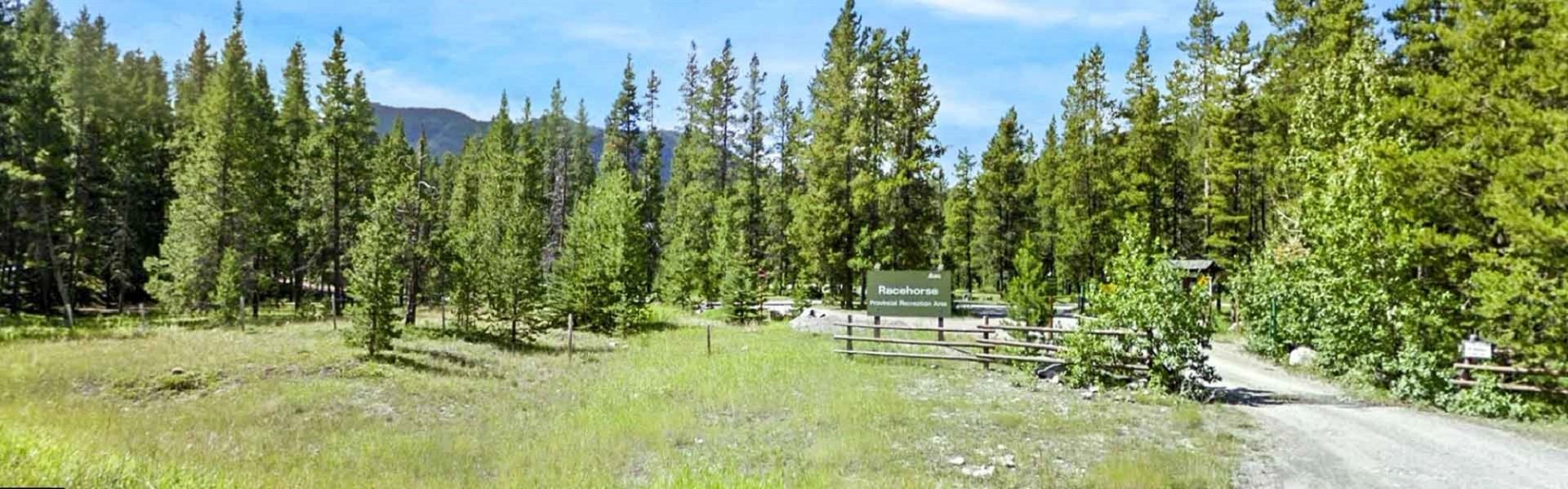 A forested campground with a sign and mountains visible behind tall trees.