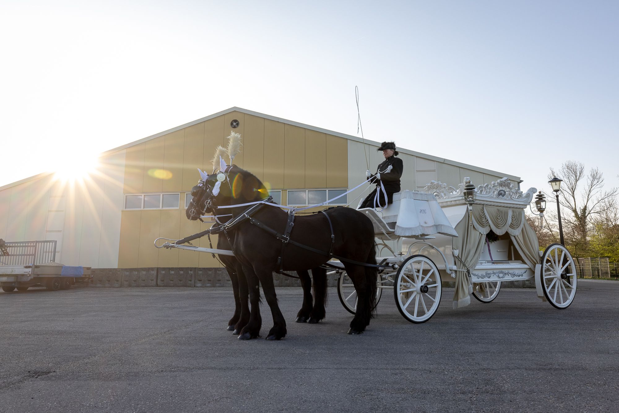 Een witte koets met twee zwarte paarden in tegenlicht