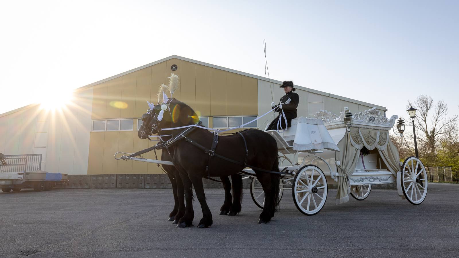 Een witte koets met twee zwarte paarden in tegenlicht