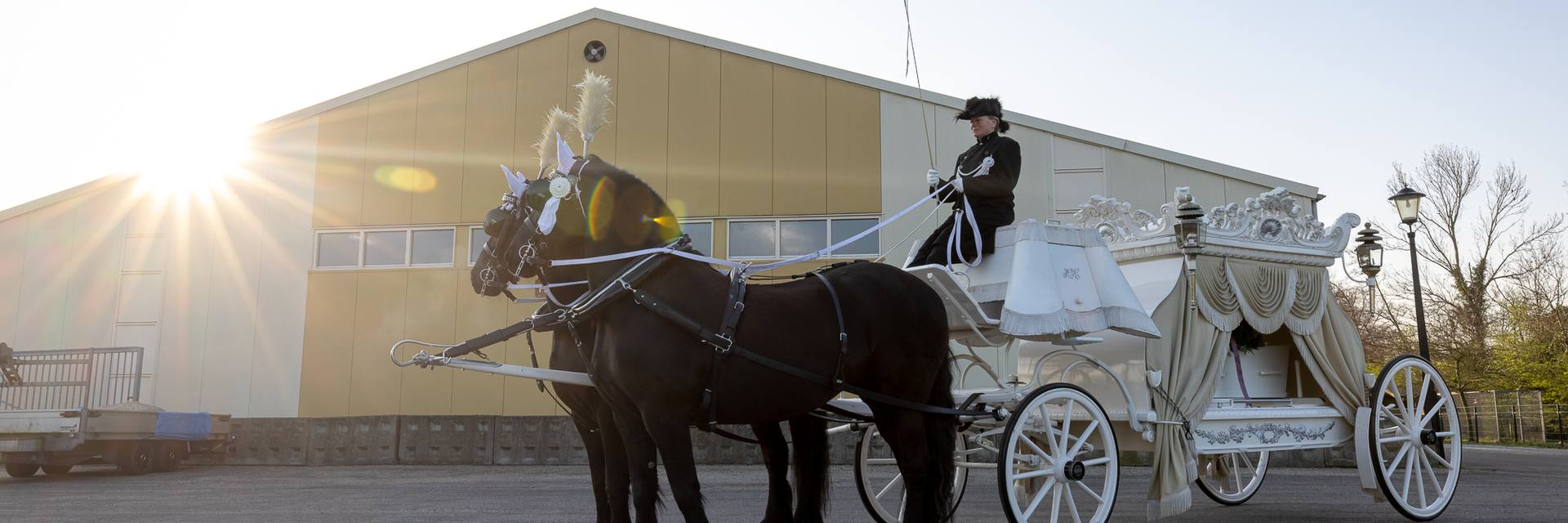 Een witte koets met twee zwarte paarden in tegenlicht