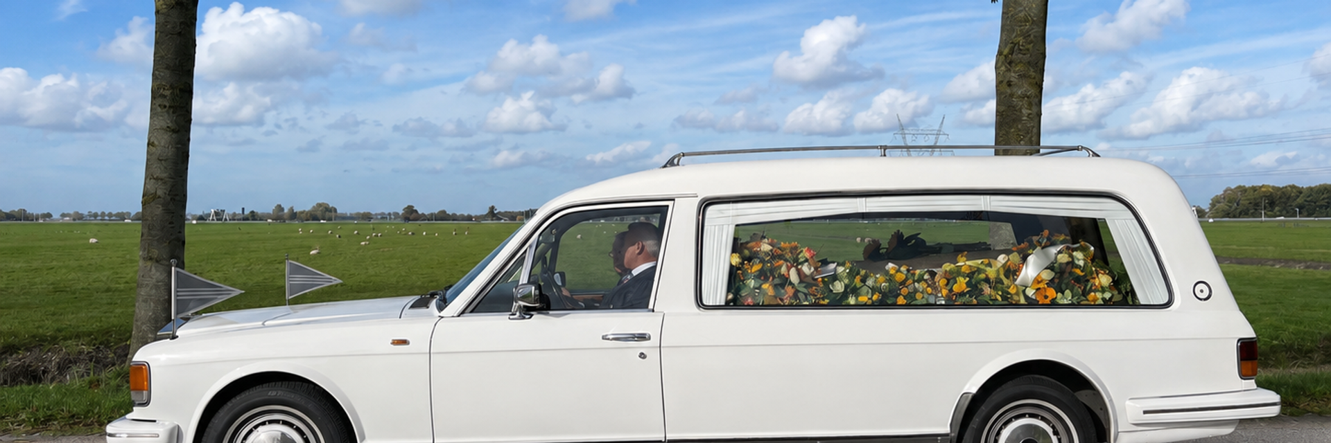 Een witte klassieke rouwauto op een polderweg