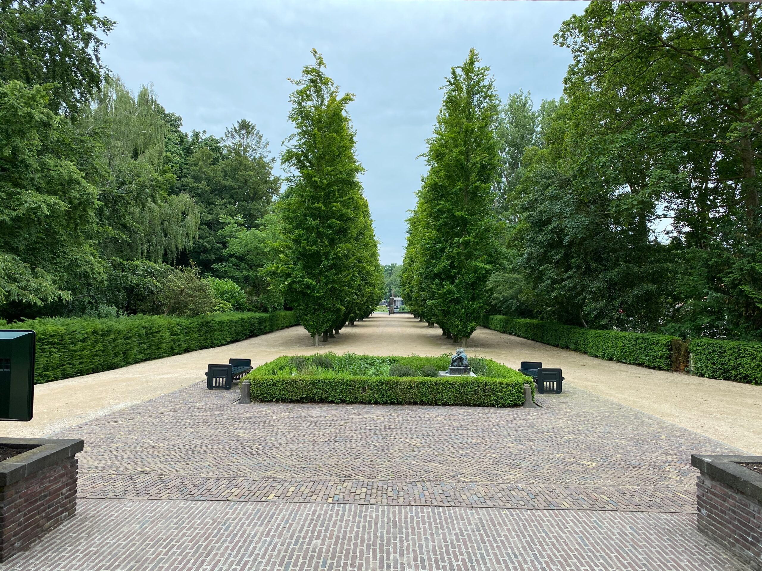 Een lange laan met hoge bomen over Zorgvlied, met banken langs het pad