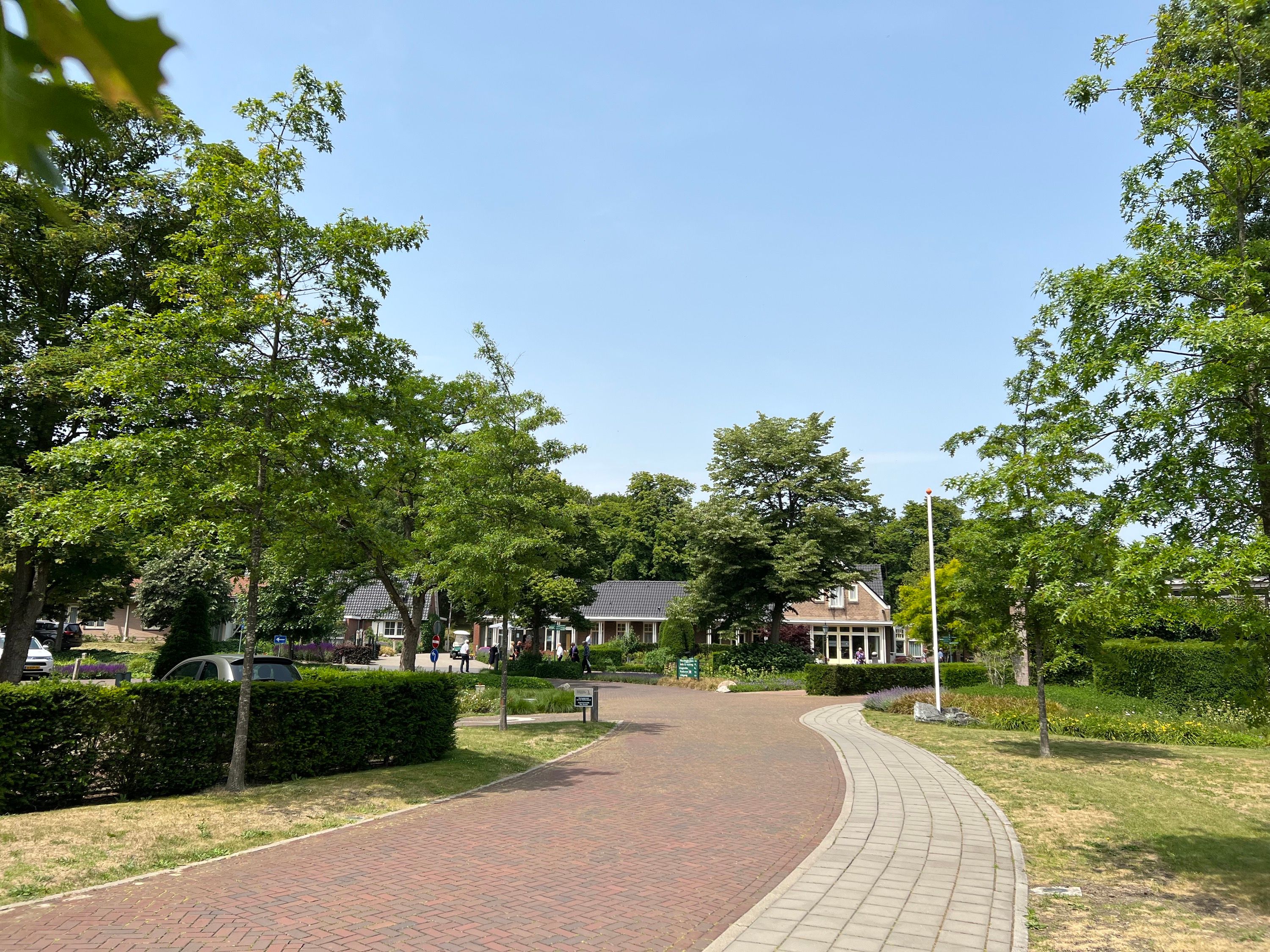 De laan naar de gebouwen van Westerveld, tussen de bomen