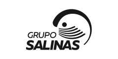 Grupo Salinas