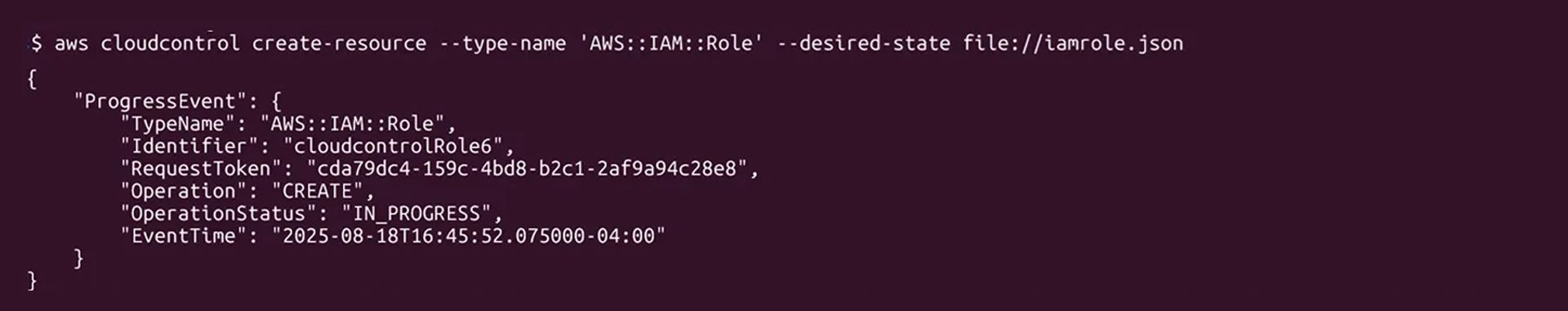 cloudcontrol create-resourceコマンドの実行中を示すAWS CLIの出力