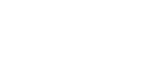 1X