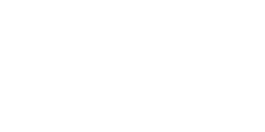 Forcepoint