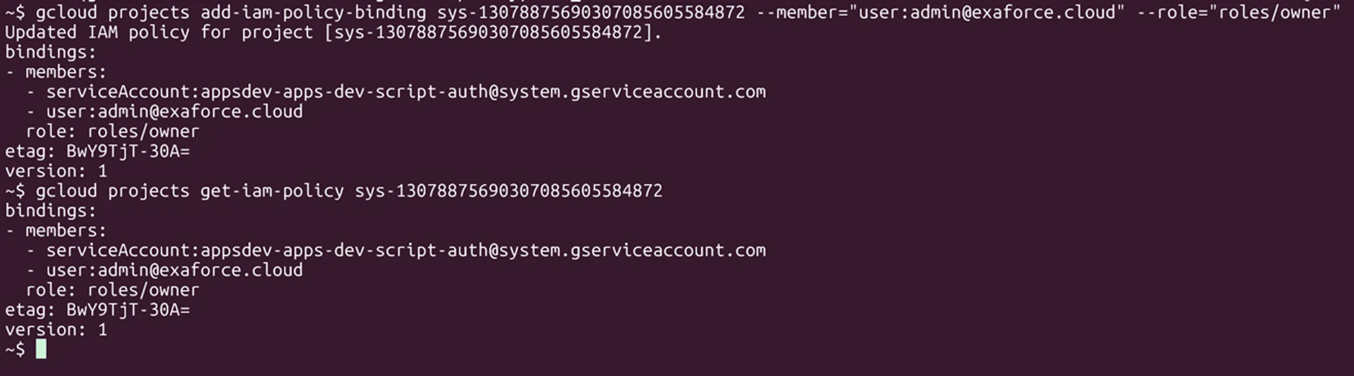 admin@exaforce.cloudをオーナーとして追加し、IAMポリシーの更新を確認するgcloudコマンド
