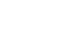 NTT Data