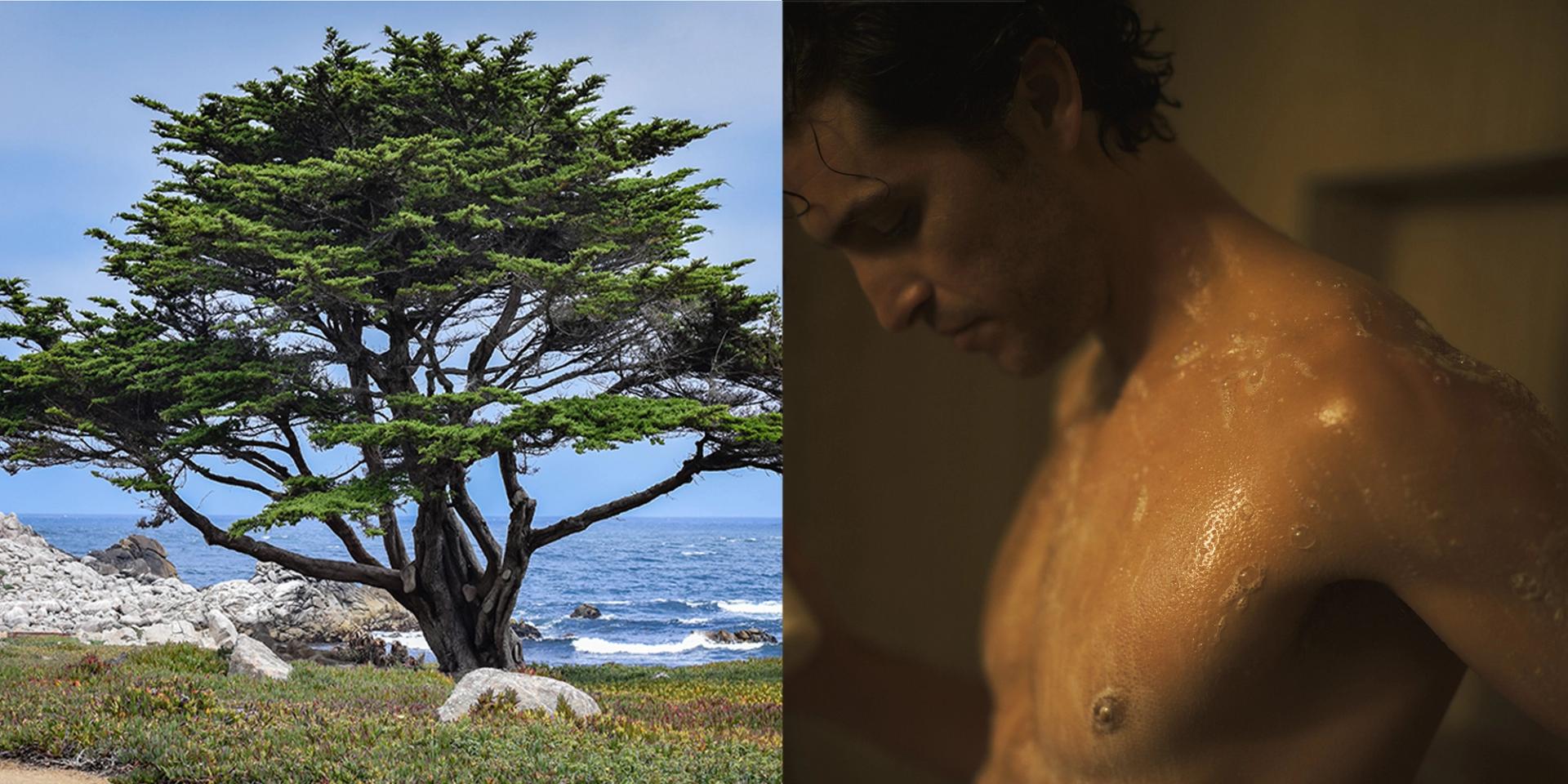 Pebble beach tree with image of man in shower bathing