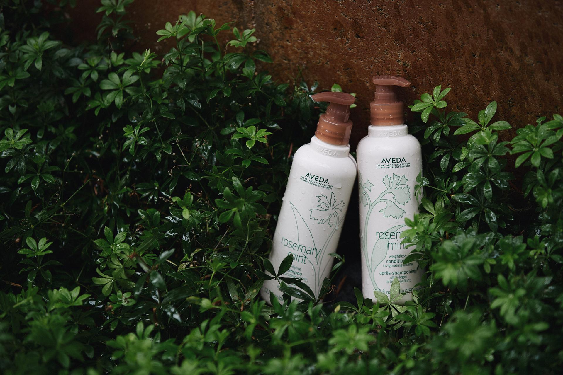 Aveda Rosemary Mint Shampoo and Conditioner set among greenery outdoors