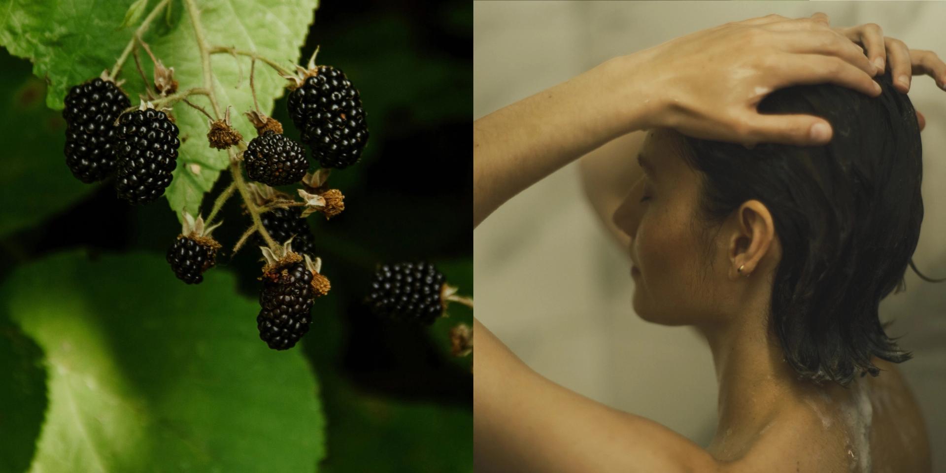 the dewberry plant on the left, girl in shower on the right
