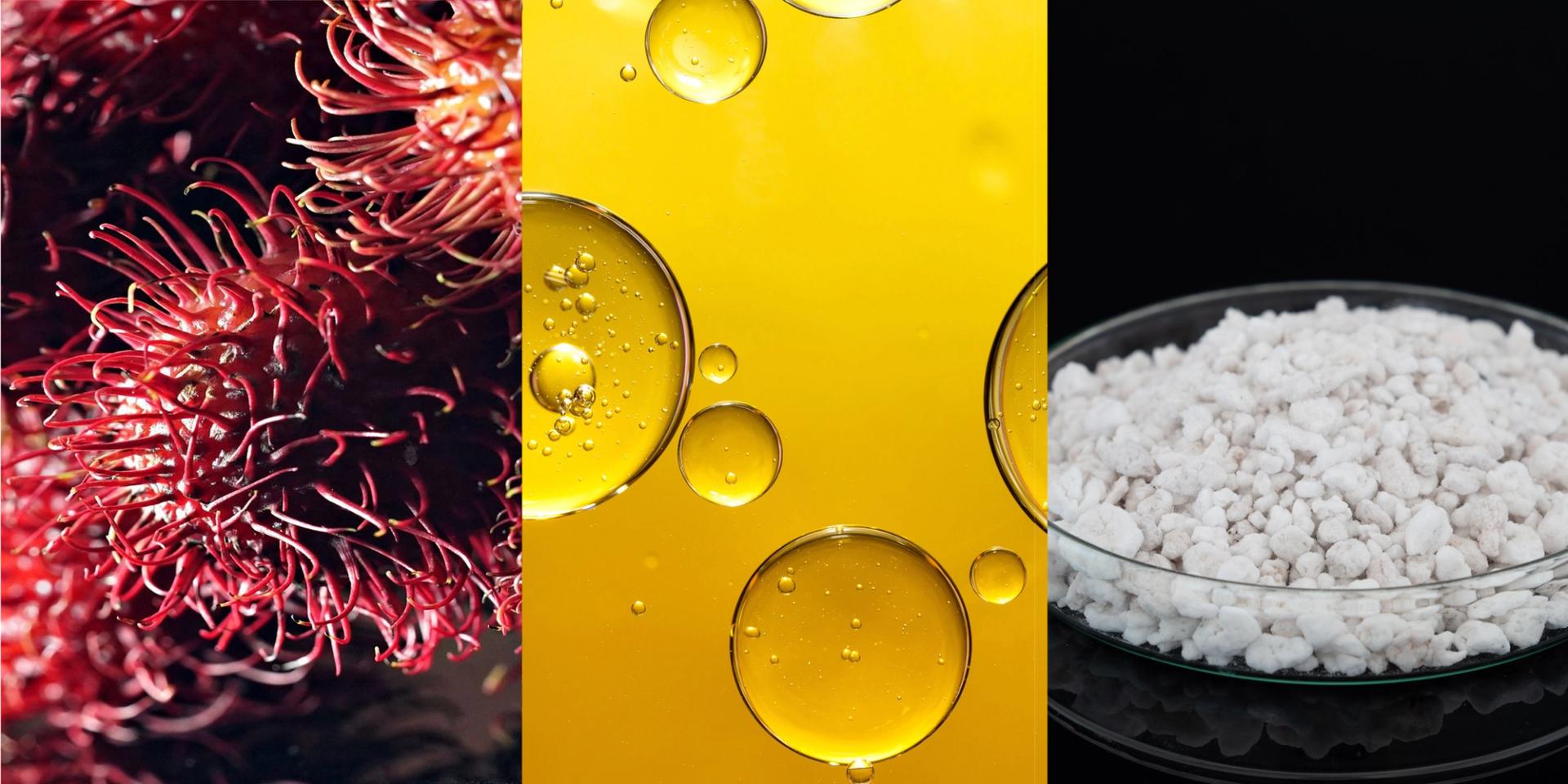 Rambutan, avocado oil, and perlite