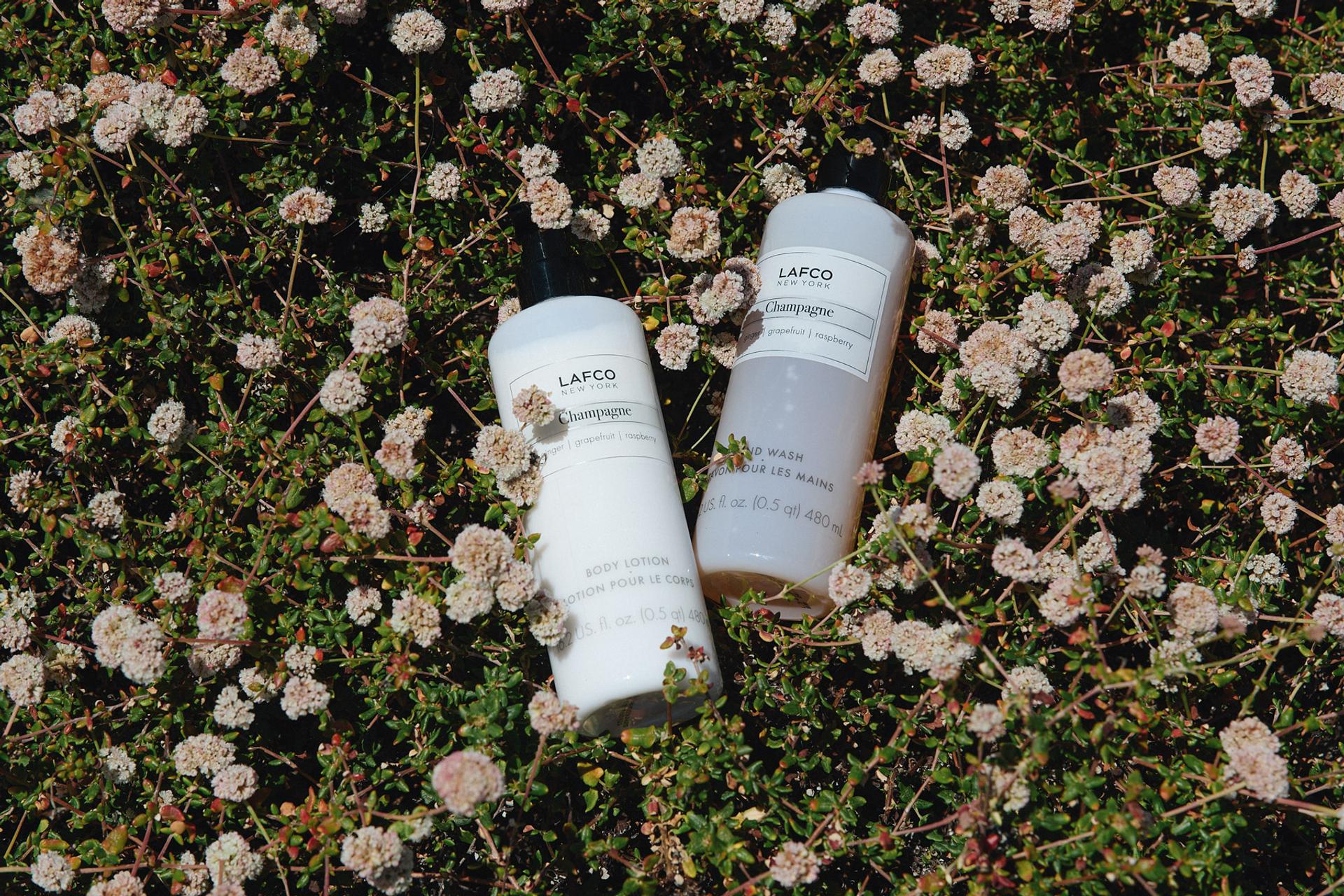 Lafco Champagne Body Lotion and Hand Wash bottles with a ground cover backdrop