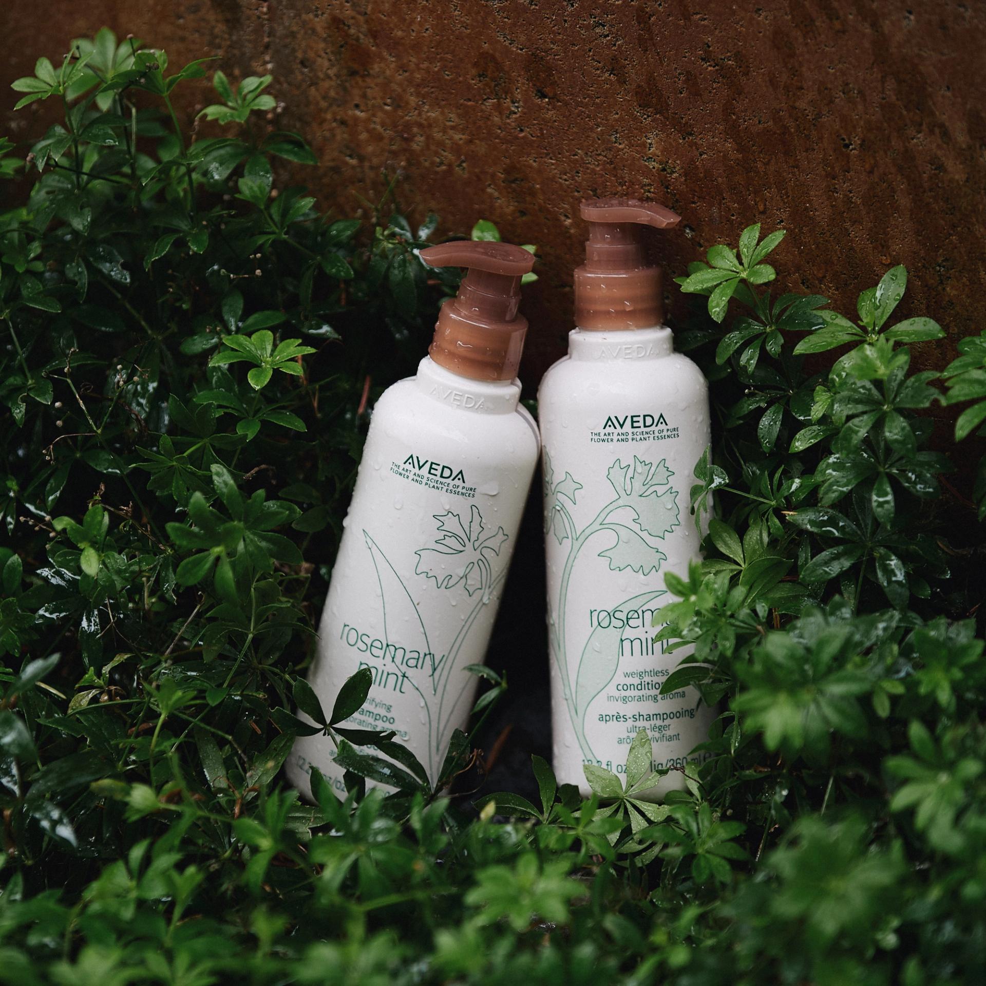 Aveda Rosemary Mint Shampoo and Conditioner set among greenery outdoors