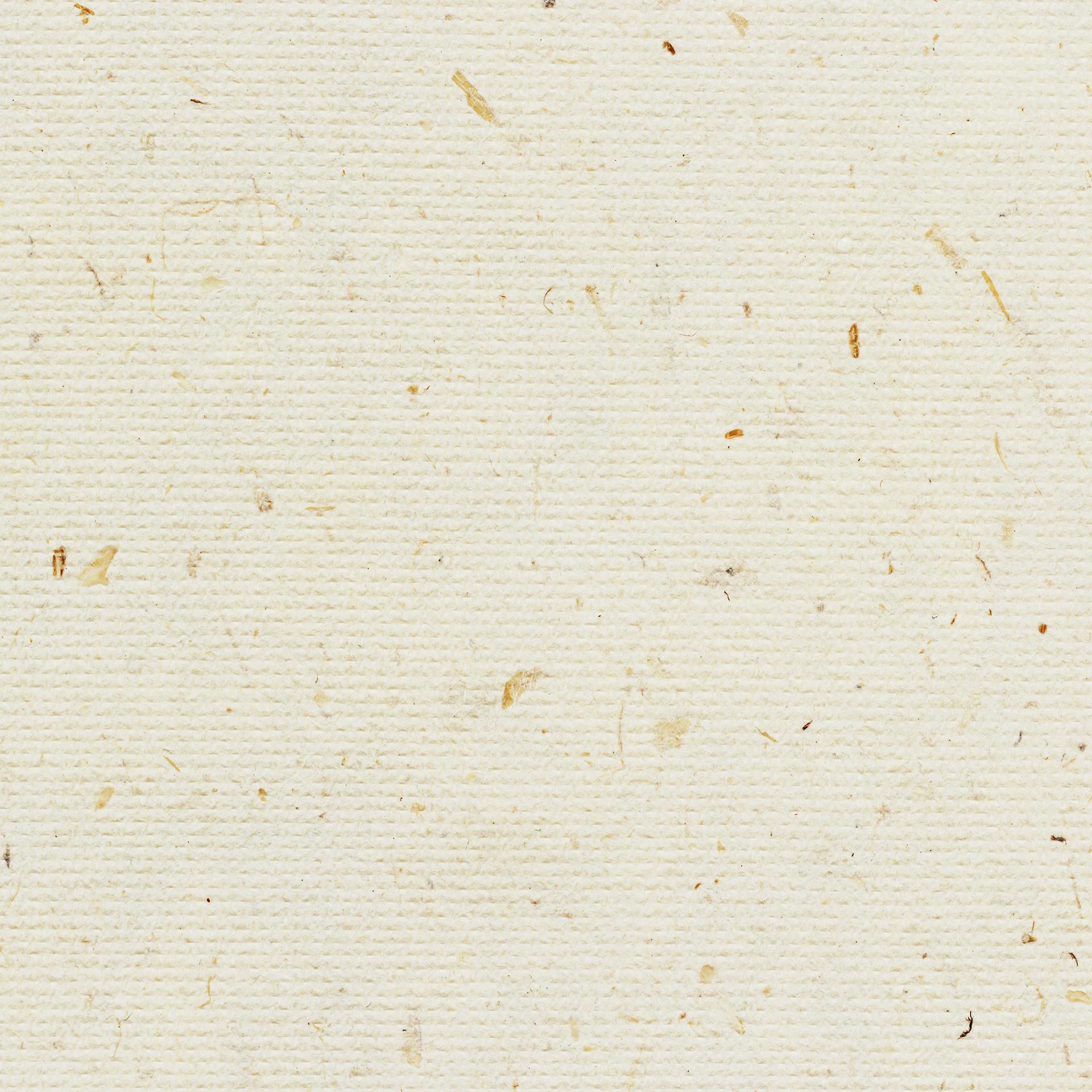 Sustainable barley paper