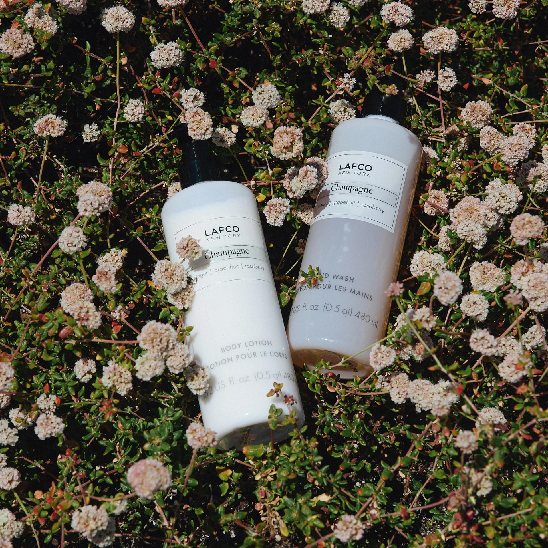 Lafco Champagne Body Lotion and Hand Wash bottles with a ground cover backdrop