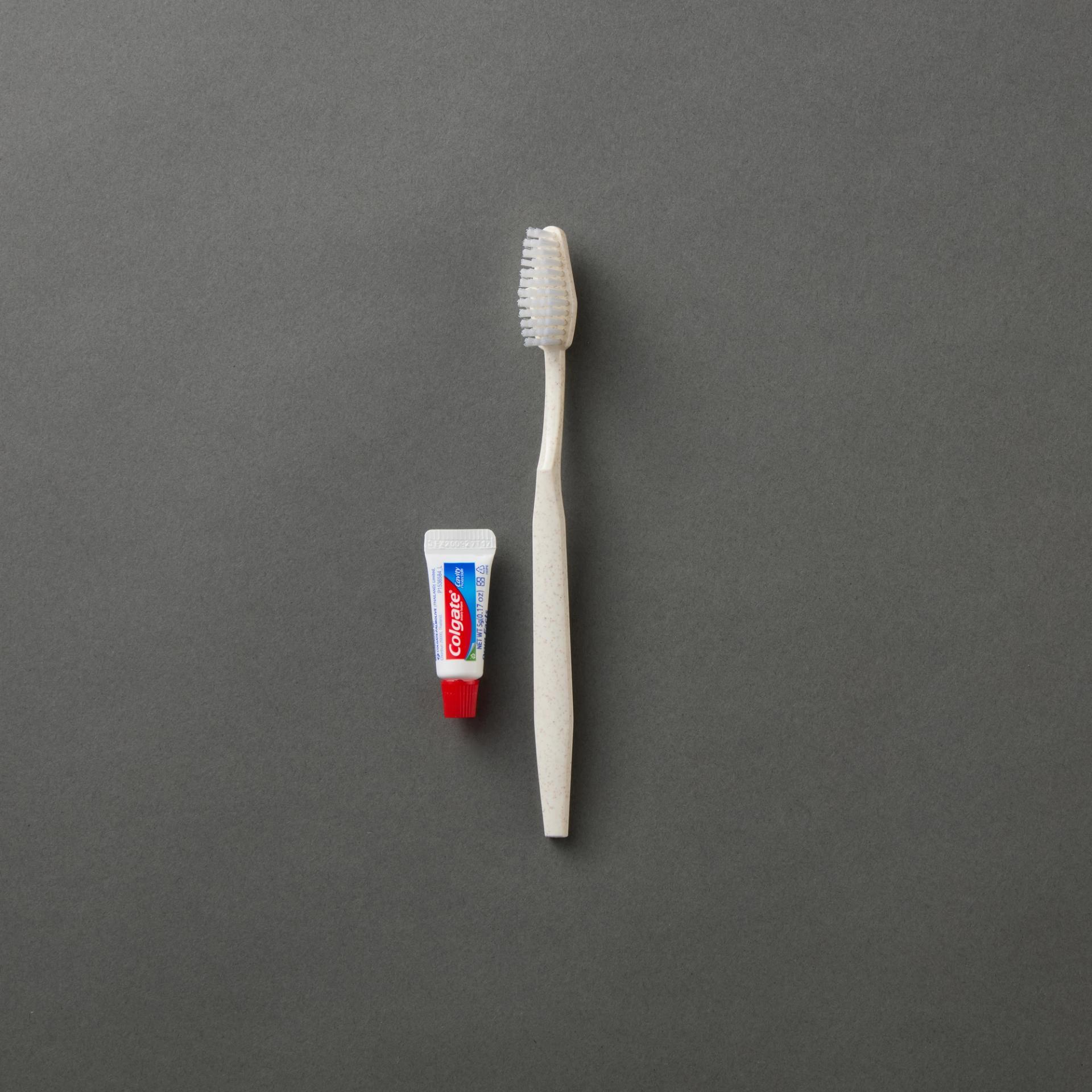 Barley Paper Dental Kit