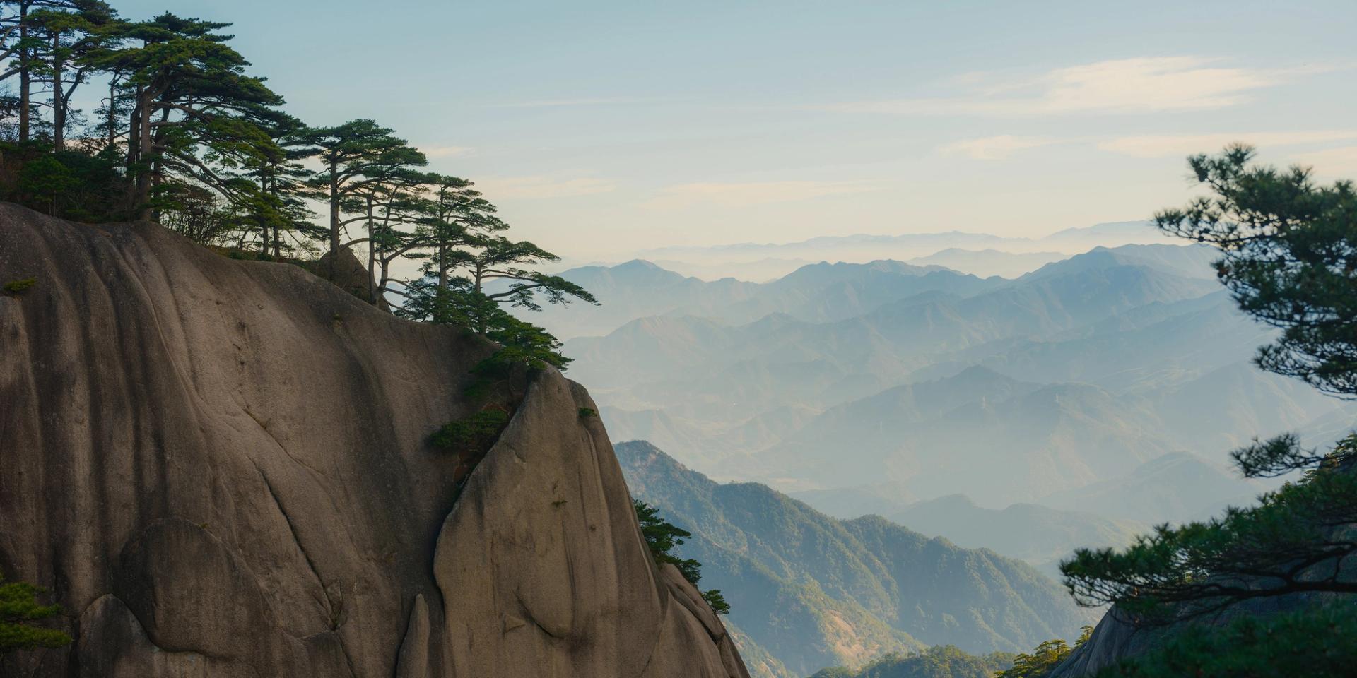Pint Trees in Huangshan Mountains China