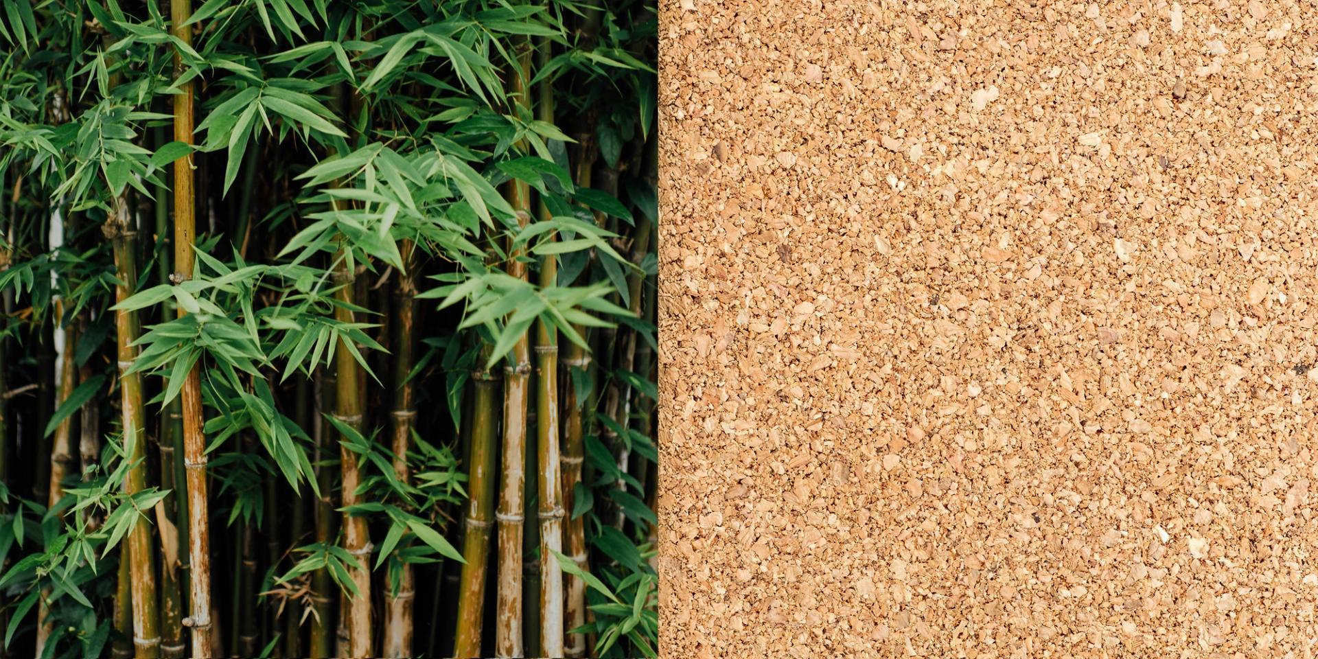 Bamboo on the left and Cork on the right