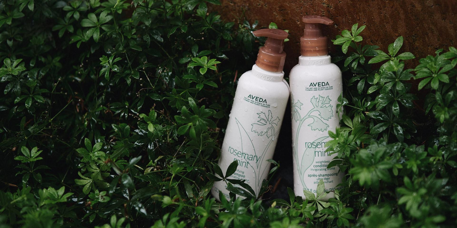 Aveda Rosemary Mint Shampoo and Conditioner set among greenery outdoors