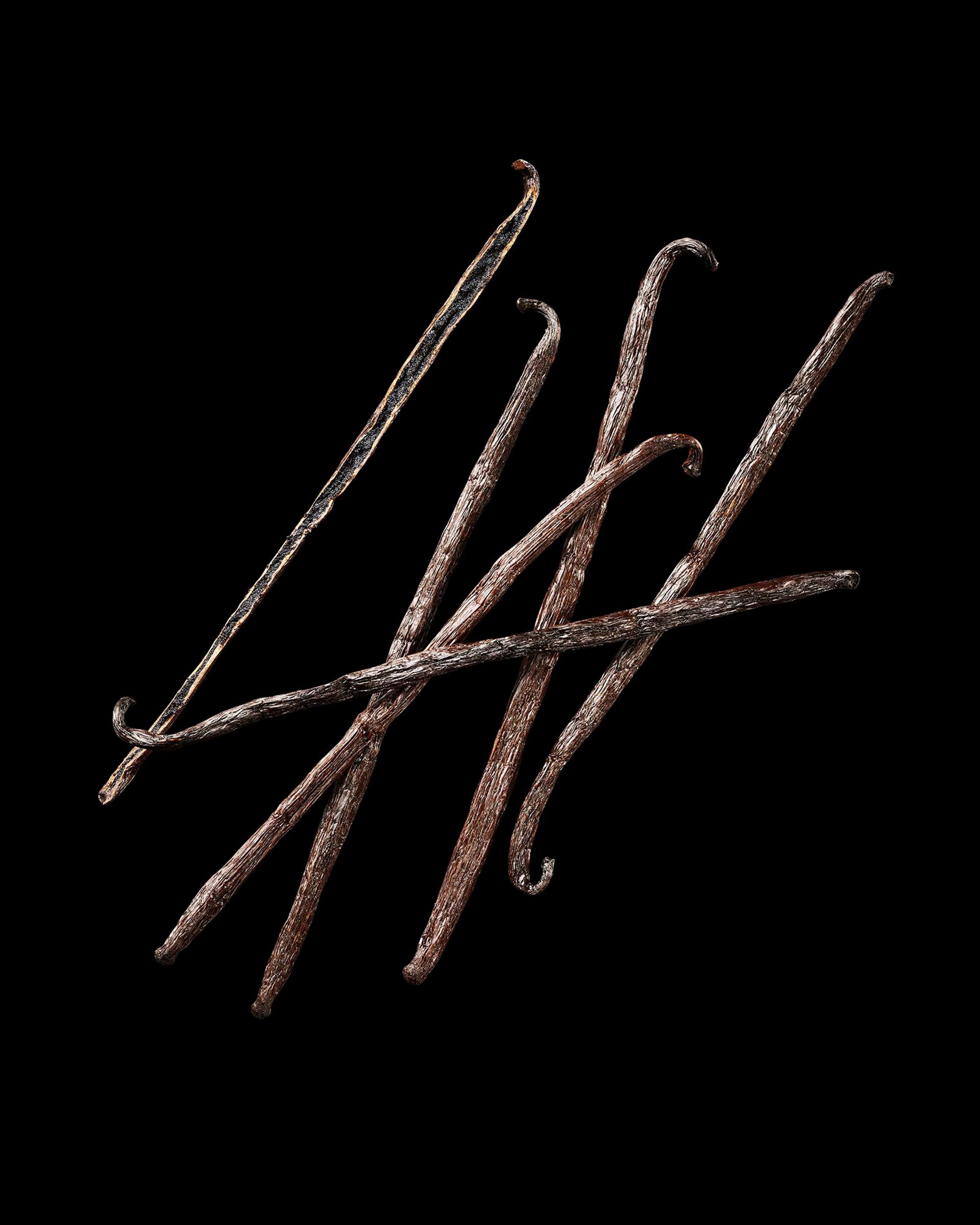 Vanilla Bean Ingredient