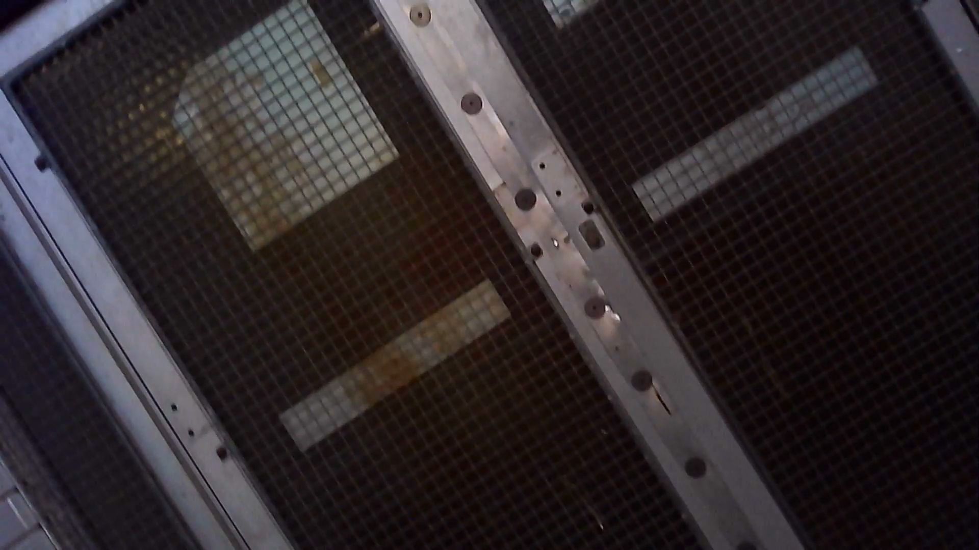 Hover prerender image 23