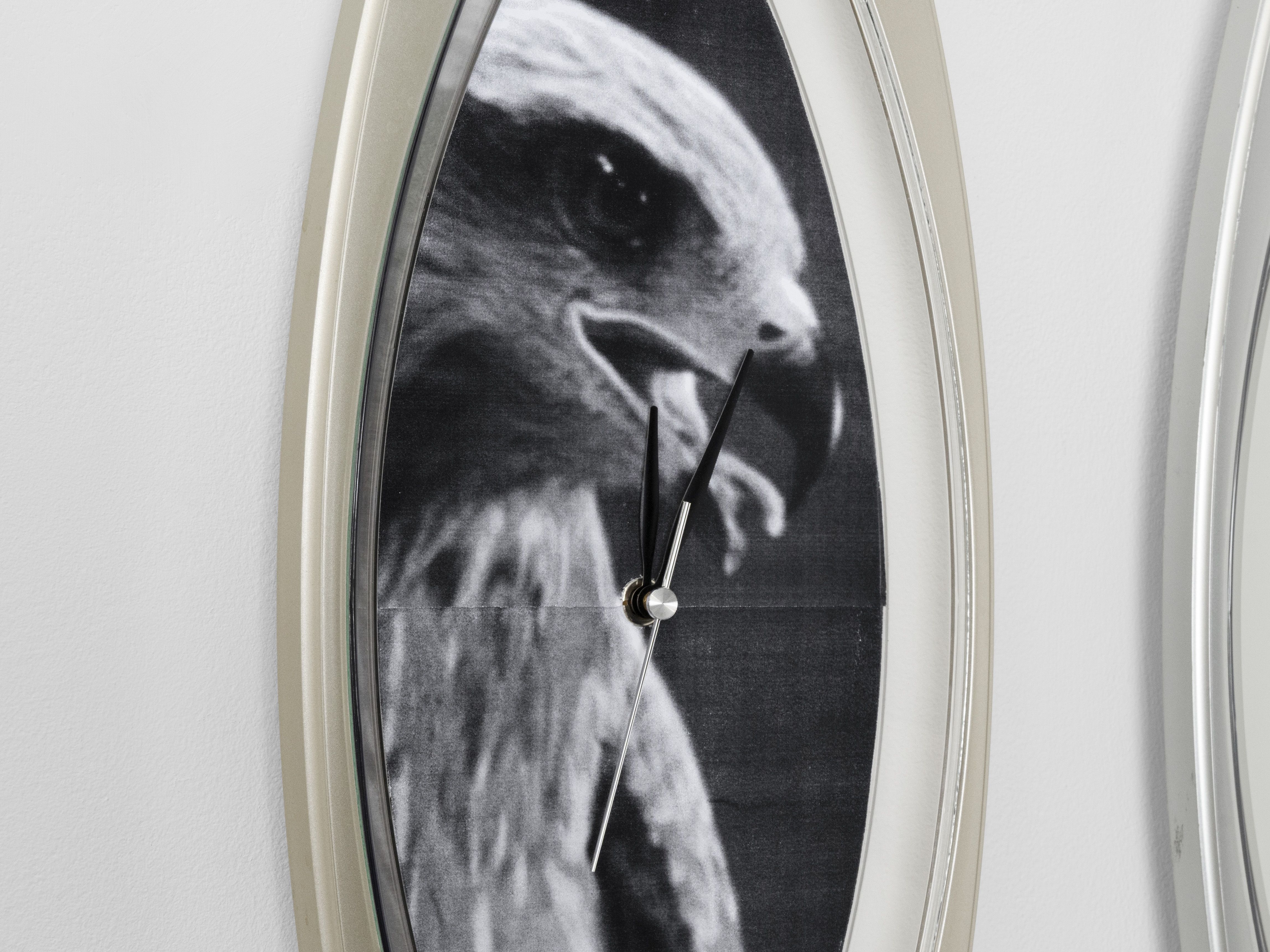 Hover prerender image 2